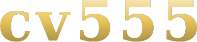 bdcv555.com Logo